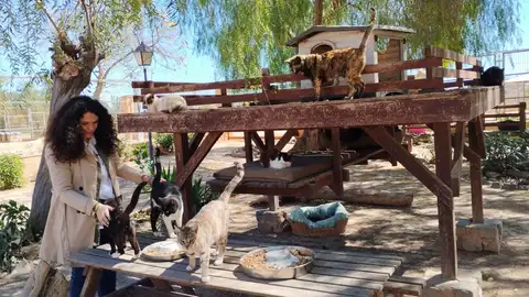 La concejala junto a los gatos del albergue La concejala junto a los gatos del albergue