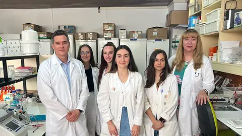 Descubren que las proteínas de origen humano que causan el alzheimer provocan daños más severos que las de ratón IBIMA