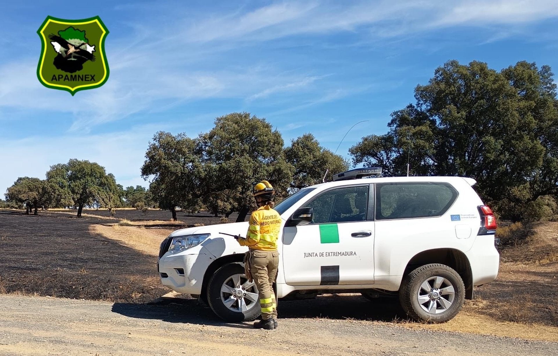 Agentes del Medio Natural muestran su "indignación" por verse "excluidos" de la Medalla de Extremadura Agentes del Medio Natural muestran su "indignación" por verse "excluidos" de la Medalla de Extremadura