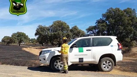 Agentes del Medio Natural muestran su "indignación" por verse "excluidos" de la Medalla de Extremadura Agentes del Medio Natural muestran su "indignación" por verse "excluidos" de la Medalla de Extremadura