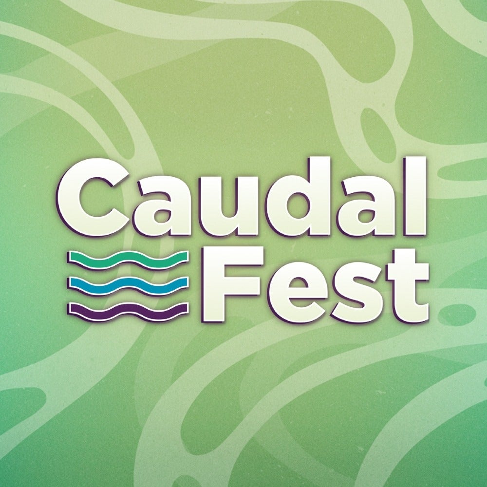 Lugo vibrará con la música del Caudal Lugo vibrará con la música del Caudal