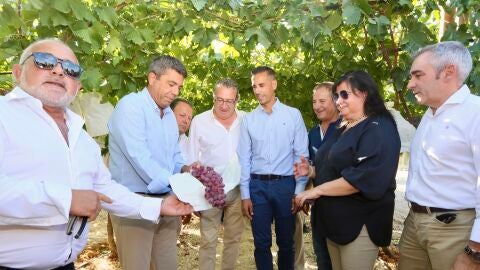 Acto inicio de la campa&ntilde;a de recolecci&oacute;n de la uva de mesa embolsada del Vinalop&oacute;.