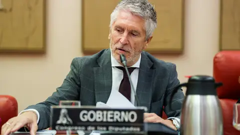 Jupol matiza los datos de criminalidad del Gobierno: "Son bastante preocupantes" Jupol matiza los datos de criminalidad del Gobierno: "Son bastante preocupantes"