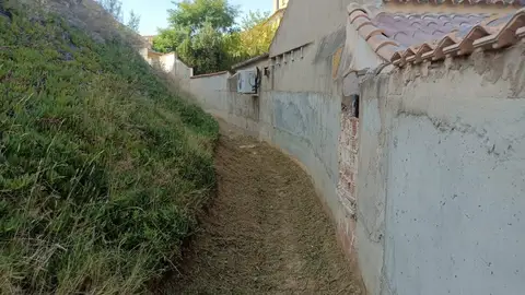 Una de las zonas que ha procedido a limpiar el Ayuntamiento de Aspe. Una de las zonas que ha procedido a limpiar el Ayuntamiento de Aspe.