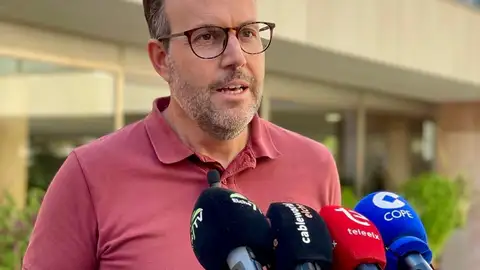 Héctor Díez, portavoz del PSOE en el Ayuntamiento de Elche. Héctor Díez, portavoz del PSOE en el Ayuntamiento de Elche.