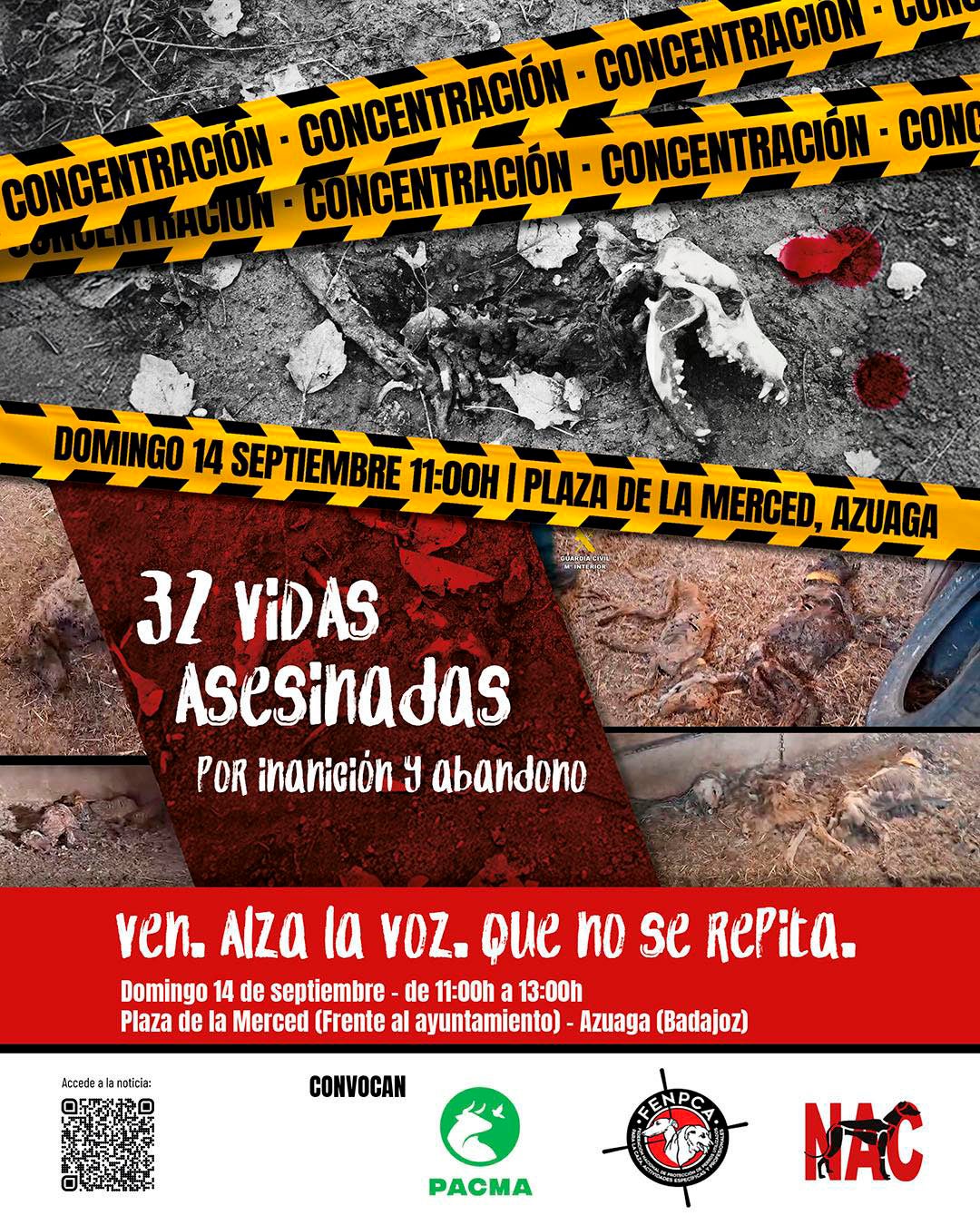 Diversos colectivos animalistas se concentrarán en Azuaga para pedir "justicia" por la muerte de 32 perros de caza Diversos colectivos animalistas se concentrarán en Azuaga para pedir "justicia" por la muerte de 32 perros de caza