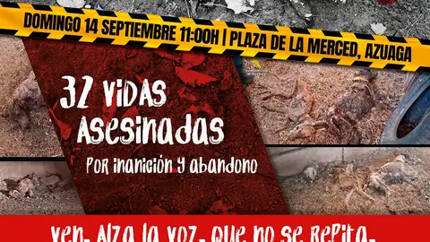 Diversos colectivos animalistas se concentrarán en Azuaga para pedir "justicia" por la muerte de 32 perros de caza Diversos colectivos animalistas se concentrarán en Azuaga para pedir "justicia" por la muerte de 32 perros de caza