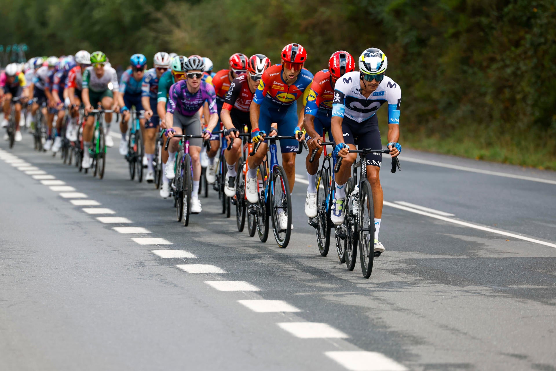 Un manifestante pro Palestina provoca la caída de un ciclista en La Vuelta Un manifestante pro Palestina provoca la caída de un ciclista en La Vuelta
