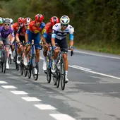 Un manifestante pro Palestina provoca la caída de un ciclista en La Vuelta Un manifestante pro Palestina provoca la caída de un ciclista en La Vuelta