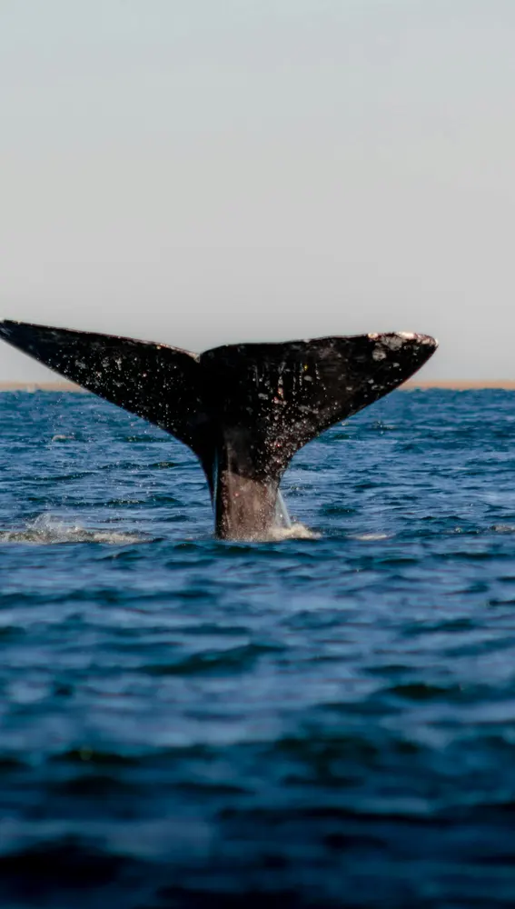 Patagonia - Argentina Patagonia - Argentina