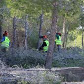 Benidorm inicia la tercera fase de mejora en los senderos del parque El Moralet, en la zona de Xixo
