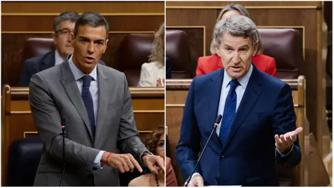 Enésima sesión bronca entre Feijóo y Pedro Sánchez: "Por seguir en el poder pactaría hasta con Netanyahu"