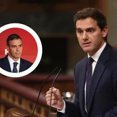 La intervención de Albert Rivera en 2019 sobre el "Plan Sánchez" que vuelve a hacerse viral La intervención de Albert Rivera en 2019 sobre el "Plan Sánchez" que vuelve a hacerse viral