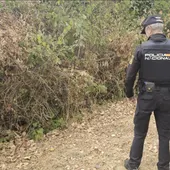 . .