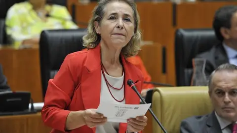 Ayudas económicas y formación online, solución de la Junta para las familias afectadas por la falta de transporte escolar Ayudas económicas y formación online, solución de la Junta para las familias afectadas por la falta de transporte escolar