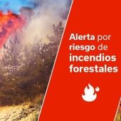Cartel de anuncio de riesgo de incendio forestal empleado por el Gobierno de Canarias para anunciar riesgo por este motivo
