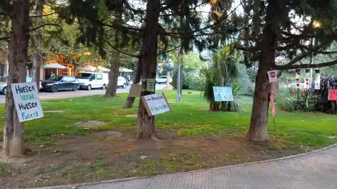 El Ayuntamiento trabaja para activar el Catálogo de Árboles y Arboledas Singulares de Huesca El Ayuntamiento trabaja para activar el Catálogo de Árboles y Arboledas Singulares de Huesca