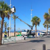 Benidorm reanuda tras la temporada estival las obras de la segunda fase de la renovación de la catenaria del Paseo de Levante Benidorm reanuda tras la temporada estival las obras de la segunda fase de la renovación de la catenaria del Paseo de Levante