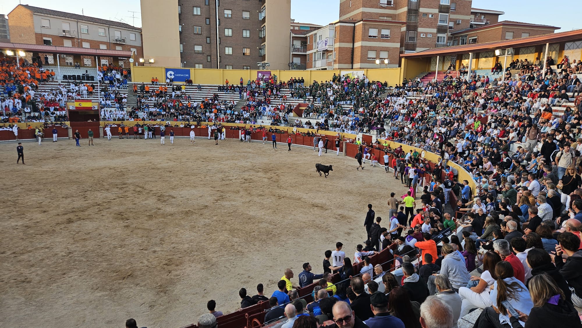 Satisfacción en Guadalajara por el primer encierro por el casco histórico Satisfacción en Guadalajara por el primer encierro por el casco histórico