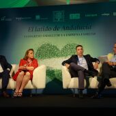 I Congreso Andaluz de la Empresa Familiar: Un Encuentro para la Competitividad y la Continuidad