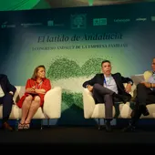 I Congreso Andaluz de la Empresa Familiar: Un Encuentro para la Competitividad y la Continuidad I Congreso Andaluz de la Empresa Familiar: Un Encuentro para la Competitividad y la Continuidad