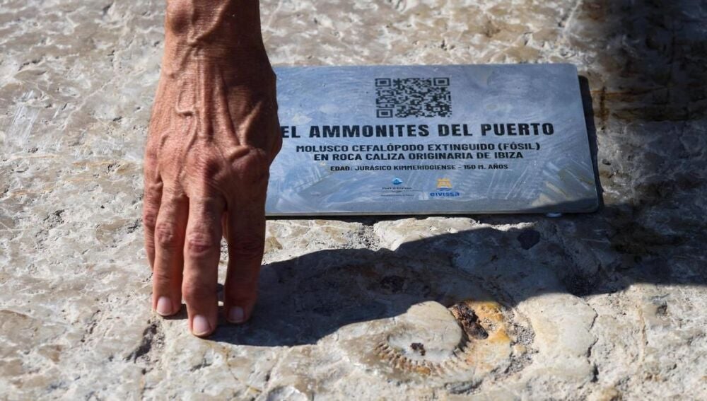 Imagen de la placa colocada en el Puerto de Ibiza
