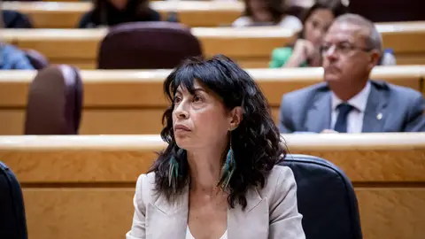 El PP lleva al Congreso los fallos en las pulseras antimaltrato y pide la reprobación de Ana Redondo