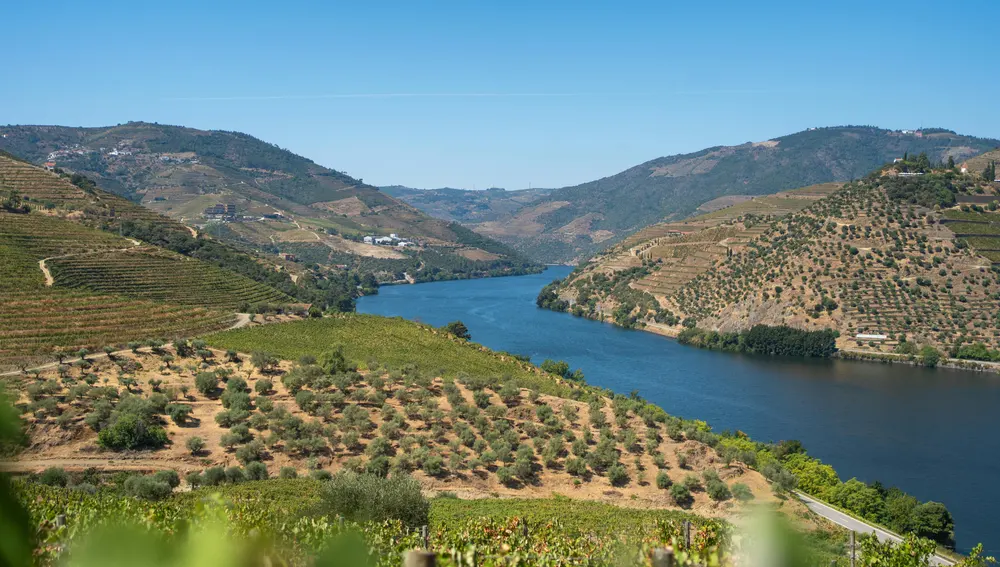 Viñedos del Oporto, Valle del Duero Viñedos del Oporto, Valle del Duero