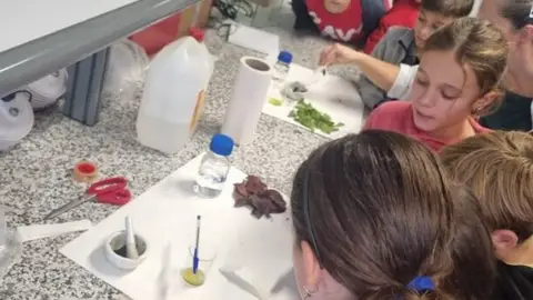La UEx abre el plazo de inscripción para los programas 'Desayuna con la Ciencia' y 'Ciencia Circular' La UEx abre el plazo de inscripción para los programas 'Desayuna con la Ciencia' y 'Ciencia Circular'