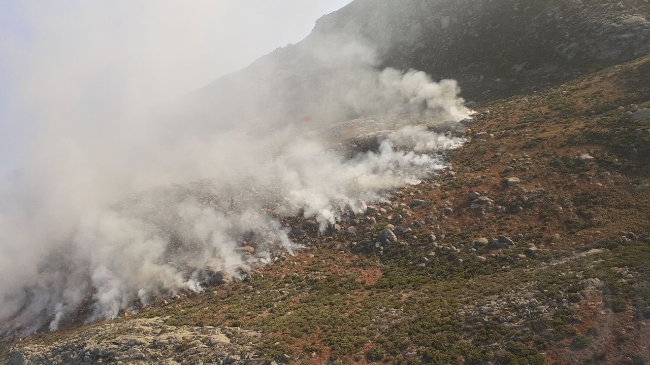 El Plan Infoex intervenía durante la pasada semana en 27 incendios forestales que afectaron a 130 hectáreas El Plan Infoex intervenía durante la pasada semana en 27 incendios forestales que afectaron a 130 hectáreas
