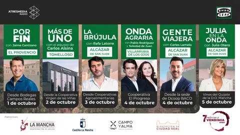 La VII Edición de la Fiesta de la Vendimia sitúa los vinos de la Mancha en el centro de la promoción y la excelencia