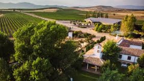 Bodegas Finca Rionegro.