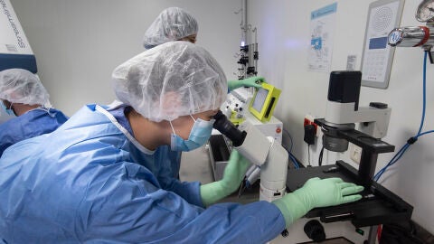 Sant Pau lidera una recerca per aturar la metàstasi Sant Pau lidera una recerca per aturar la metàstasi