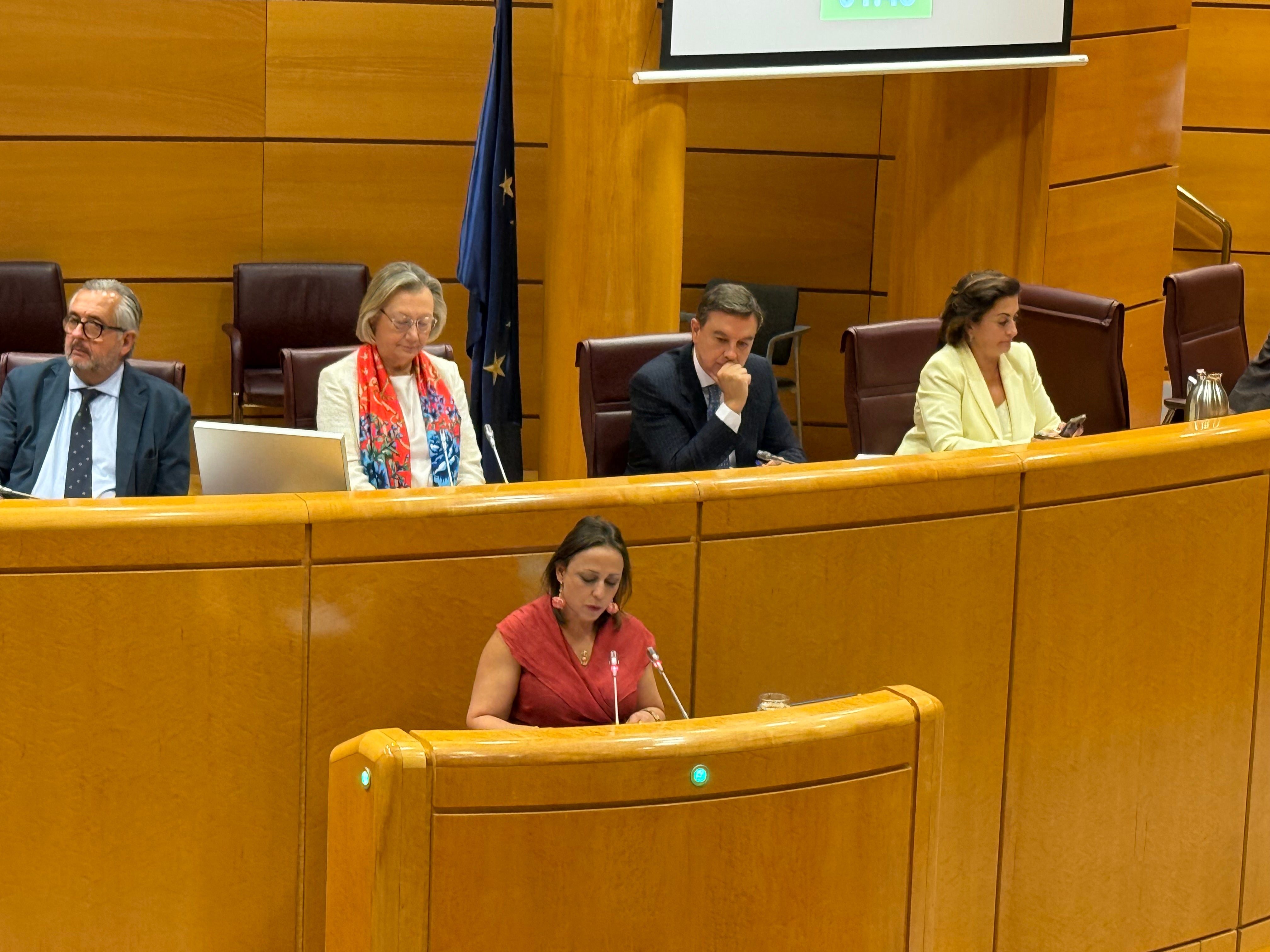 Ara Sánchez pide en el Senado una revisión profunda de las políticas contra la violencia de género ante la ineficacia de las actuales Ara Sánchez pide en el Senado una revisión profunda de las políticas contra la violencia de género ante la ineficacia de las actuales