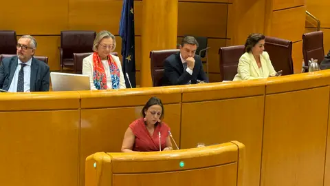 Ara Sánchez pide en el Senado una revisión profunda de las políticas contra la violencia de género ante la ineficacia de las actuales Ara Sánchez pide en el Senado una revisión profunda de las políticas contra la violencia de género ante la ineficacia de las actuales