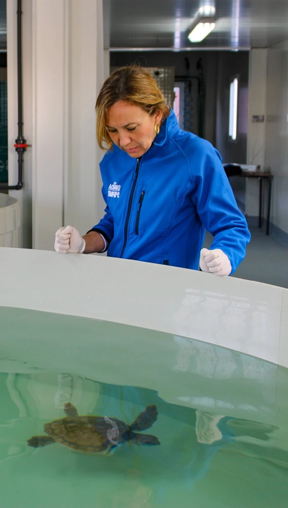 Susana Acle en las instalaciones del Centro de Recuperación Marina del Principado de Asturias Susana Acle en las instalaciones del Centro de Recuperación Marina del Principado de Asturias