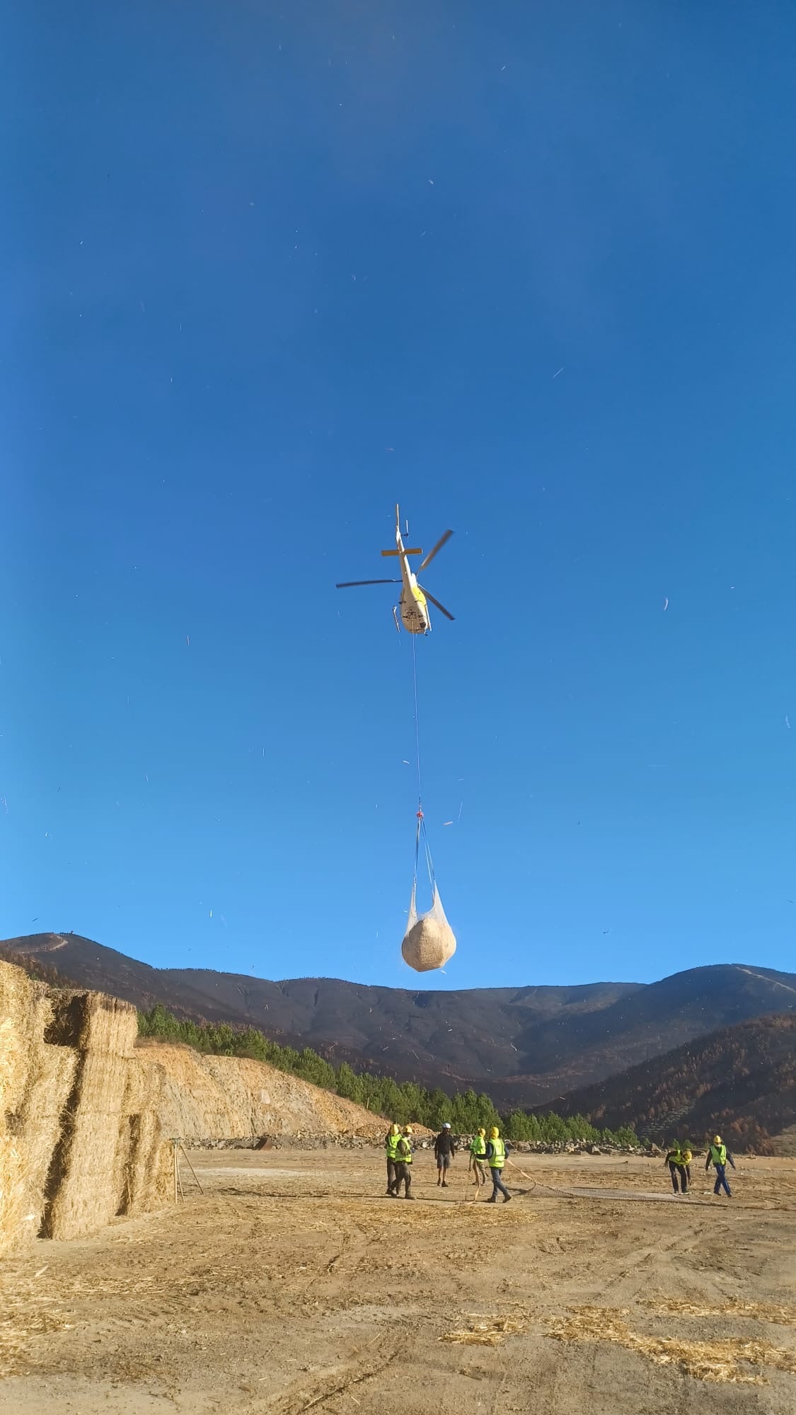 La Junta aplica trabajos de 'helimulching' para restauración forestal en Las Hurdes y Jarilla con entre 50.000 y 80.000 kilos de paja al día La Junta aplica trabajos de 'helimulching' para restauración forestal en Las Hurdes y Jarilla con entre 50.000 y 80.000 kilos de paja al día