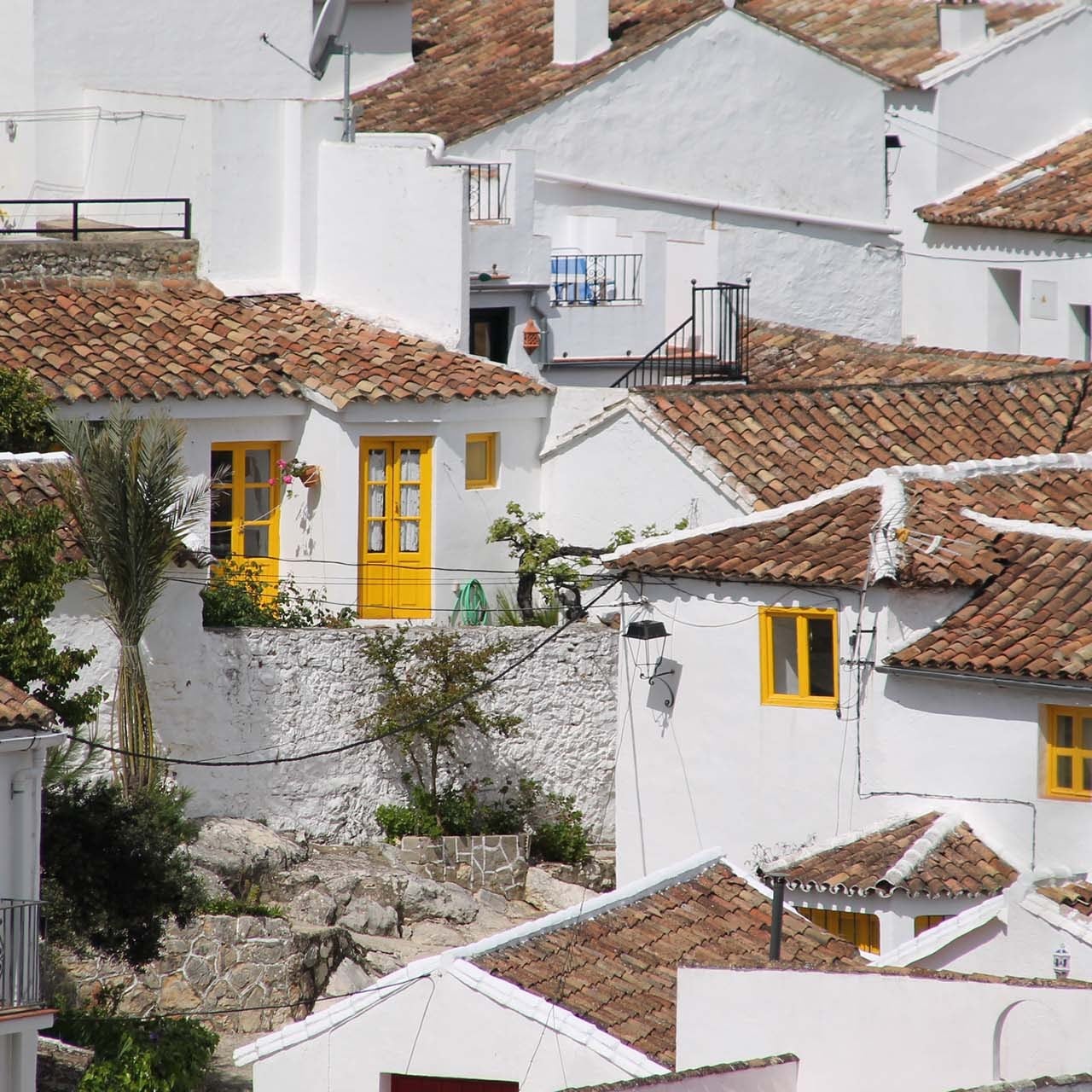 Los Premios Paisaje Serrano cumplen cinco años reconociendo buenas prácticas en la Serranía de Ronda Los Premios Paisaje Serrano cumplen cinco años reconociendo buenas prácticas en la Serranía de Ronda
