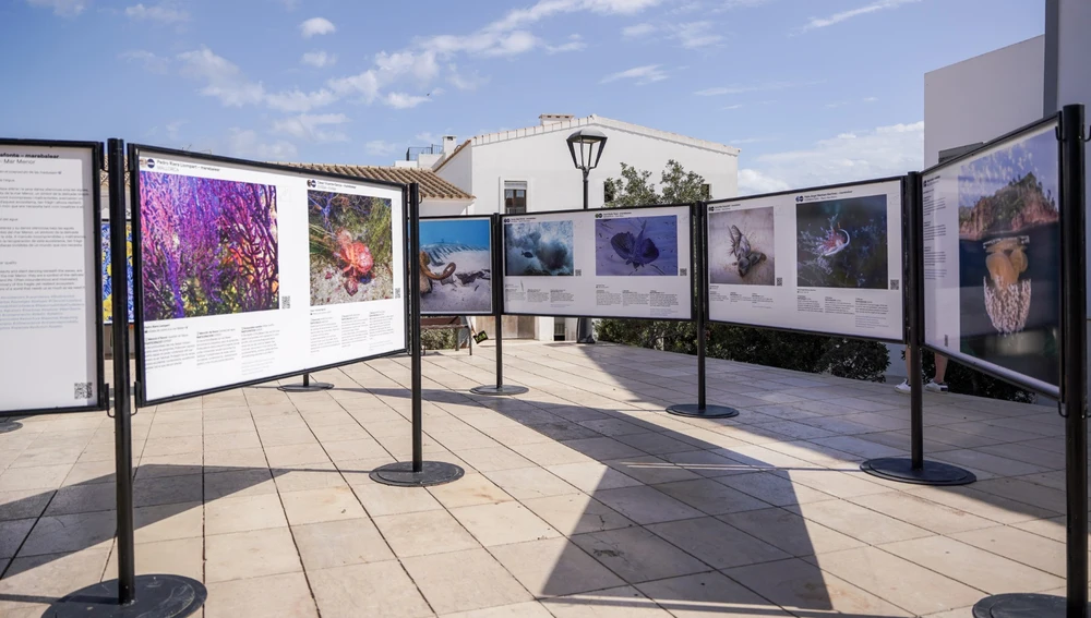Imagen de la exposición “La veu de la mar” que organiza el colectivo MARE Imagen de la exposición “La veu de la mar” que organiza el colectivo MARE
