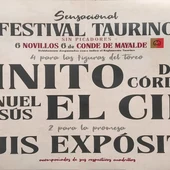 Toros en Valdepeñas Toros en Valdepeñas