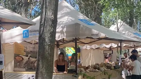 La Diputación de Palencia concede ayudas a ayuntamientos para apoyar sus ferias locales y eventos gastronómicos .