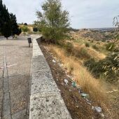 Situación del mirador del Valle, según denuncian los socialistas. 