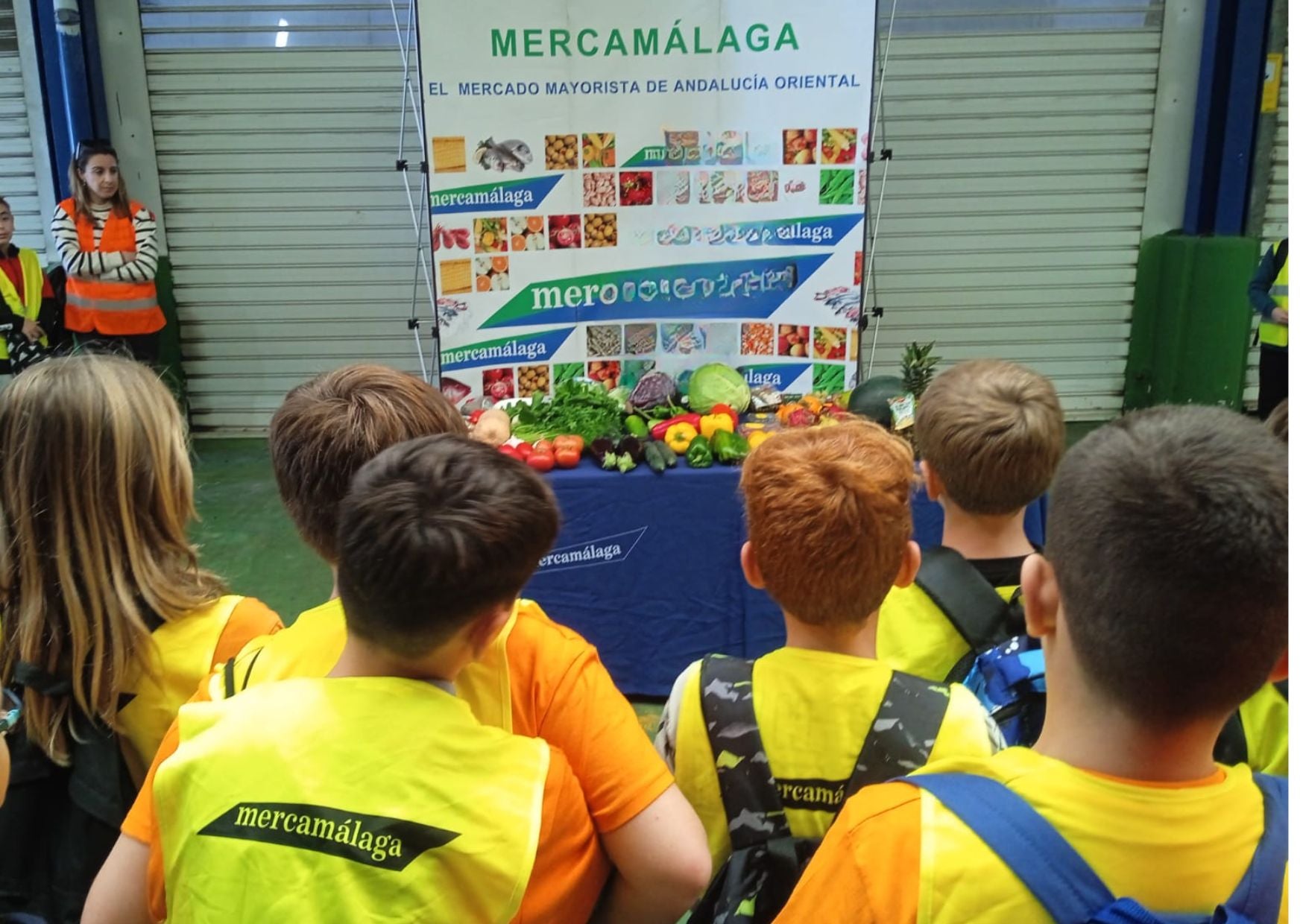 MERCAMÁLAGA abre el plazo de inscripción para su Programa Educativo 2025-2026 MERCAMÁLAGA abre el plazo de inscripción para su Programa Educativo 2025-2026