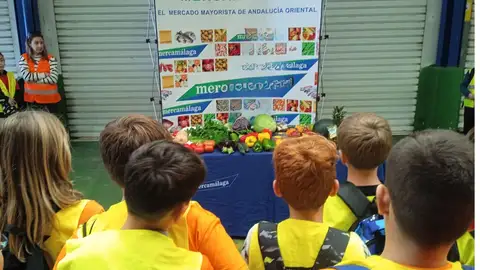 MERCAMÁLAGA abre el plazo de inscripción para su Programa Educativo 2025-2026 MERCAMÁLAGA abre el plazo de inscripción para su Programa Educativo 2025-2026