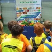 MERCAMÁLAGA abre el plazo de inscripción para su Programa Educativo 2025-2026