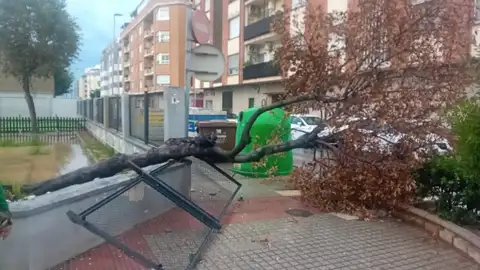 El temporal provoca la caída de un árbol y destroza la valla perimetral de la guardería municipal. El temporal provoca la caída de un árbol y destroza la valla perimetral de la guardería municipal.
