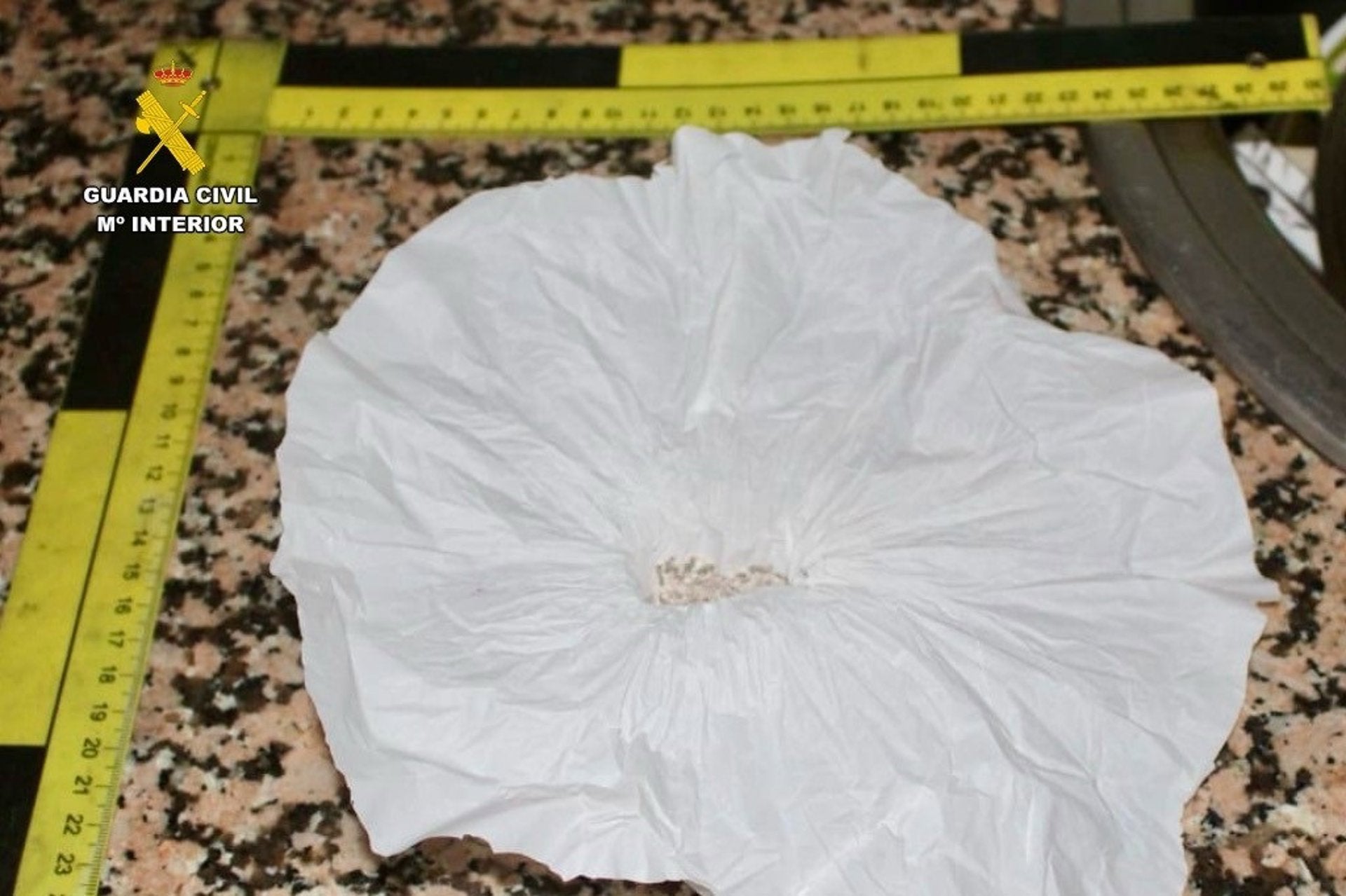 Detenida una mujer de 30 años por regentar un activo punto de venta de drogas en su vivienda de Moraleja Detenida una mujer de 30 años por regentar un activo punto de venta de drogas en su vivienda de Moraleja