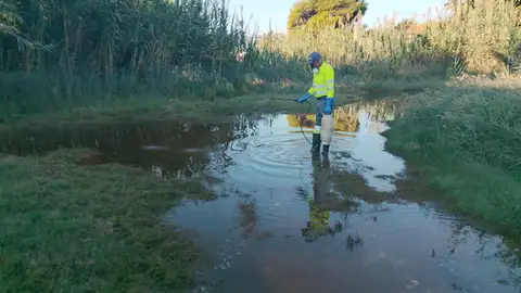 La Diputación de Castellón intensifica los tratamientos contra los mosquitos tras las lluvias La Diputación de Castellón intensifica los tratamientos contra los mosquitos tras las lluvias