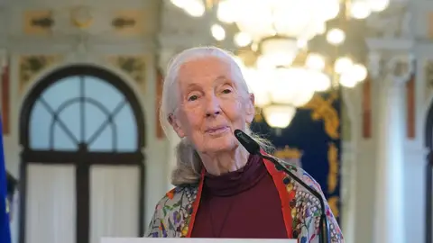 Jane Goodall en una foto de archivo Jane Goodall en una foto de archivo