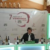 Fiesta de la Vendimia desde Bodegas Campos Reales, El Provencio, Cuenca